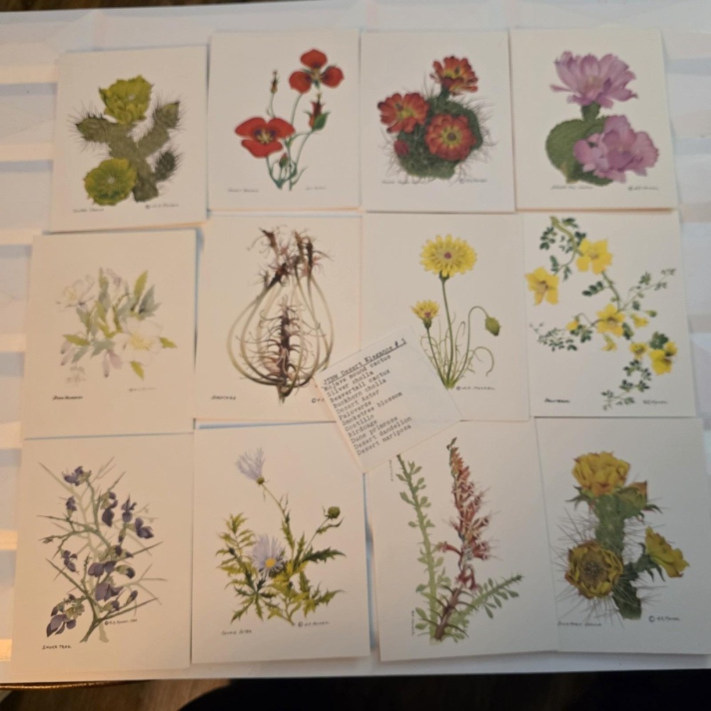 Henry R. Mockel Desert Elegance #5 Series Unused Note Cards Lot